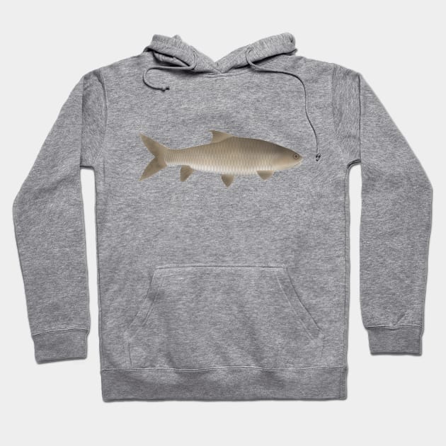 Soro Brook Carp Hoodie by FishFolkArt